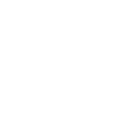 brand-stolichnaya